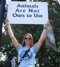 animal rights nutters