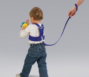 leash